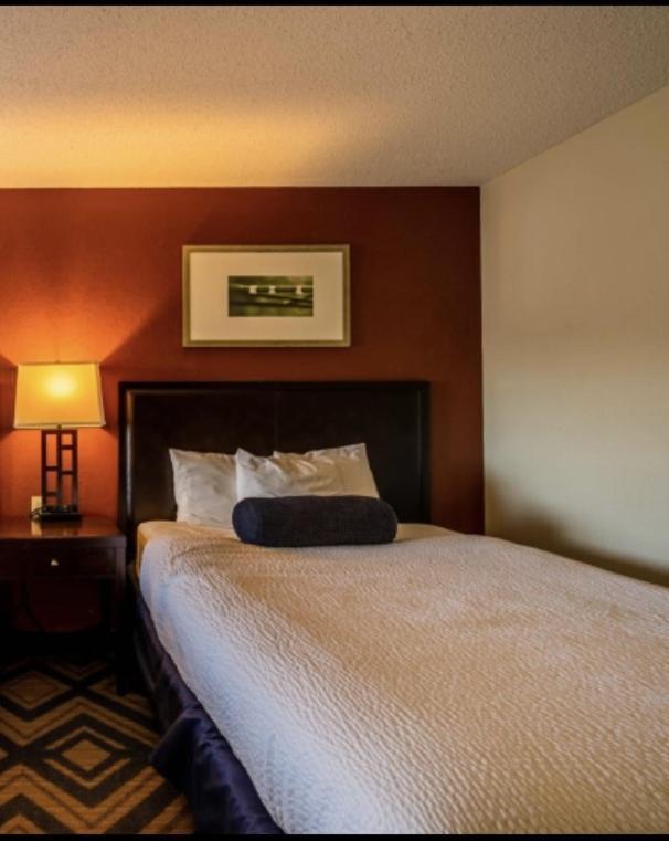 The Patch Lodge Warroad 外观 照片
